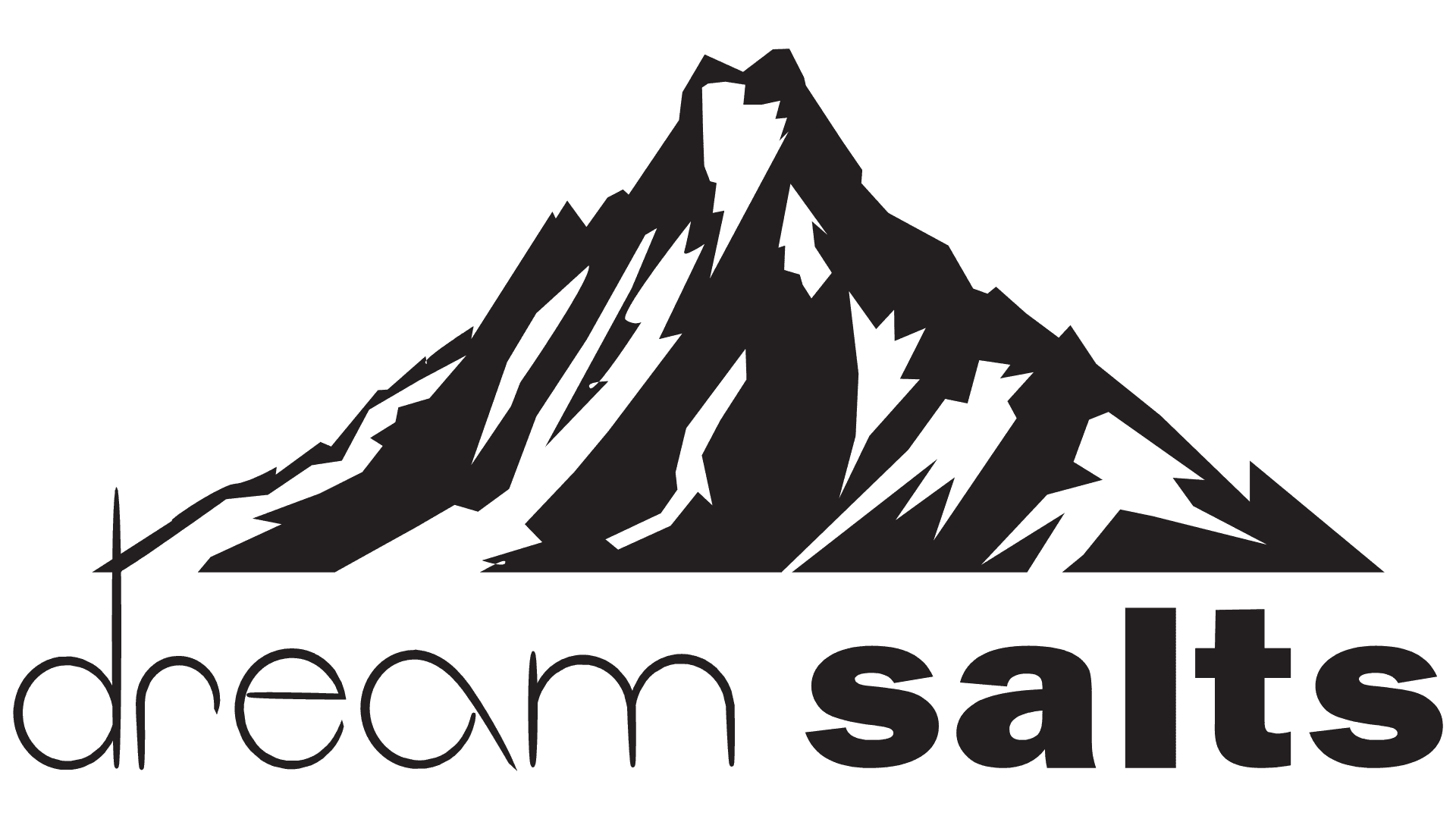 Dream Salt Logo